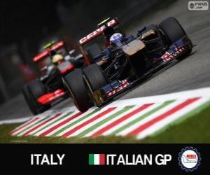 Puzzle Ντάνιελ Ricciardi - Toro Rosso - Monza, 2013